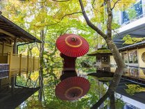 ����E�R�㉷��@�X�̐����]�[�g���X�p