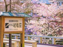 �������{����@�z�e���͎���