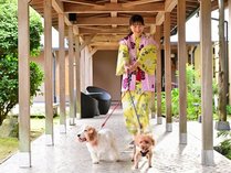 ��h�@�͂Ȃ���