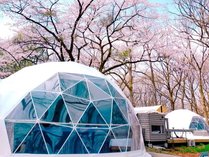 �g�������@�e�������@���@�f��������������