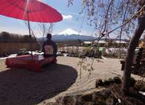 �Ԃ̏h�@���x�m