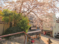 ����|�������̏h�@���É���@���ف@���c��