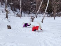 �y�b�g�Ɣ��܂�@�z���܂�