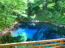 �A�I�[�l���_�\���