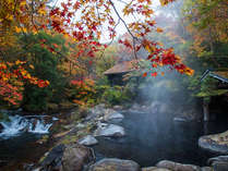 ���쉷��@�R�����̏h�@�R�݂���