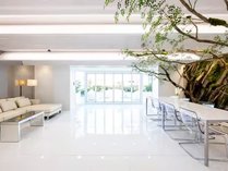 AMP FLAT Daimyo terrace