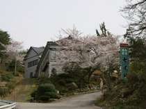 �������ف@������