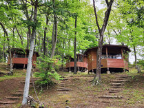 �߉ϐ�O���[���q��