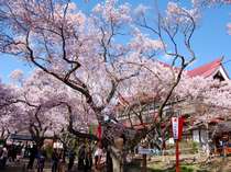 ���]�[�g�C���~�X�e�B