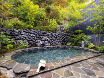 �ʏ�����Ή�