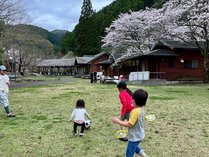 Park and Stay ����e�̐X����