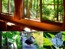 �y���V�����y���[�t�B���X���Ԋ�