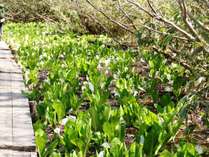 ��������@�ˑq����