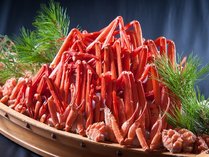 �����L���[�����s�{�Ã��]�[�g���X�p