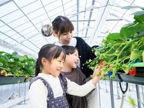 �����L���[�����s�{�Ã��]�[�g���X�p