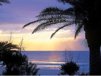 Beach Front Litore