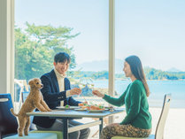 �y�b�g���]�[�g�@�u���C���Y�@�V��