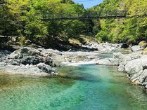 ���쉷��@�����ꓒ�̗��@�M����
