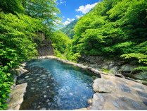 ��������@�k����V���C�ƘF�[�����̏h�@����c����