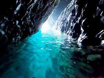 �S���قǂ��̌��ƐS�����I�Ƌ��@�C�ӂ̂��܂��h�E�ƃg��