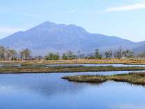 �y���V�������W�I