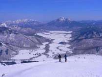 �y���V�������W�I