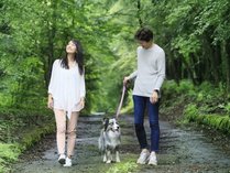 ƂK[fky@with@DOGS