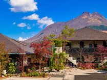 ��ӂ���o�[�X�@���R����