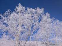 ���u�ꍂ�����΂̓�����@�΂̓����b�W