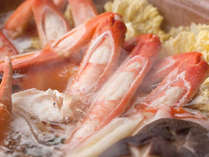 �v�`�z�e���@Aoitori