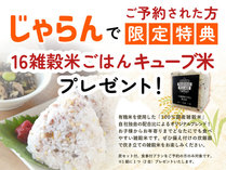 THE@TRAILERHOUSE@VILLAGE@喴c@SPA