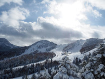 �u�ꍂ�� ��̐��@�z�e���W���p���u��