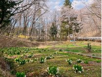 �Q�X�g�n�E�X�@���݂̖�