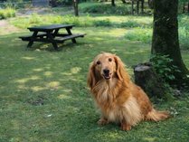 �Q�X�g�n�E�X�@���݂̖�