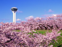 �����@��ؒ�