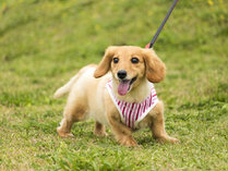 ONSEN COTTAGE AJISAI