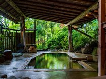 �S�N�̔������Ƌɏ�̑ݐؘI�V���C�@���ّ��