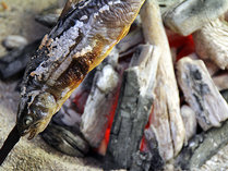 �ؑ�����@�͘F���̏h�@�C���i���{��