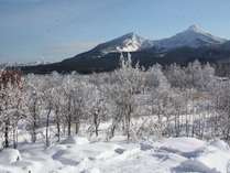 ���֒򍂌��@�v�`�z�e���u���̎��v