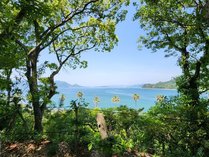 �꓏�݂��R�e�[�W Sunset Village �T���Z�b�g�r���b�W