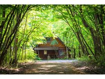 ���O�R�e�[�W�@���P�̐X