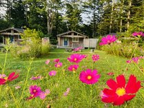 MORIKOYA�k�y���