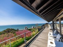 �C�̂��傤����