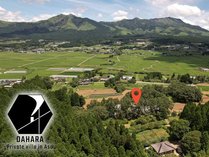 DAHARA S-1