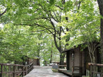 ���ۓ��K�[�f���n�E�X