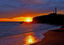 �������̏h�@�哿