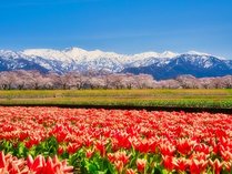 ���ف@��R��