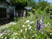 �y���V�����@�V����