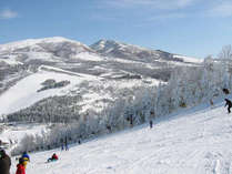 �v�`�z�e���@�]���^�b�N