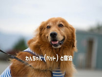 �R�e�[�W�����O�[